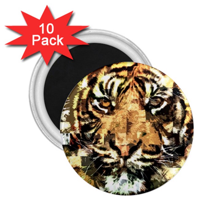 Tiger 1340039 2.25  Magnets (10 pack) 