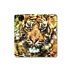 Tiger 1340039 Square Magnet by 1iconexpressions