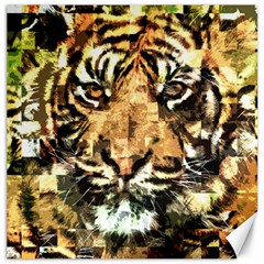 Tiger 1340039 Canvas 12  X 12   by 1iconexpressions