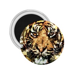 Tiger 1340039 2 25  Magnets by 1iconexpressions