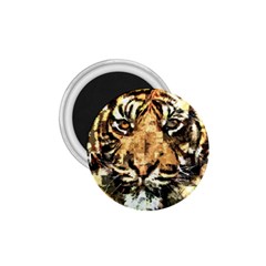 Tiger 1340039 1 75  Magnets