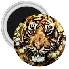 Tiger 1340039 3  Magnets by 1iconexpressions