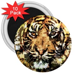 Tiger 1340039 3  Magnets (10 Pack)  by 1iconexpressions