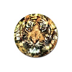 Tiger 1340039 Magnet 3  (round) by 1iconexpressions