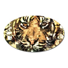 Tiger 1340039 Oval Magnet by 1iconexpressions