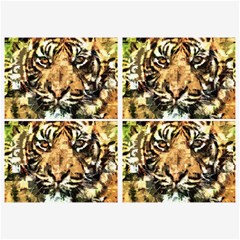 Tiger 1340039 Belt Buckles