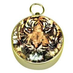 Tiger 1340039 Gold Compasses by 1iconexpressions