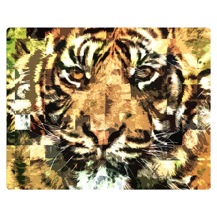 Tiger 1340039 Double Sided Flano Blanket (Medium) 