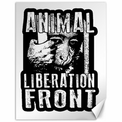 Animal Liberation Front - Chimpanzee  Canvas 12  X 16   by Valentinaart