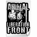 Animal Liberation Front - Chimpanzee  Canvas 12  x 18   11.88 x17.36  Canvas - 1