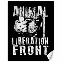 Animal Liberation Front - Chimpanzee  Canvas 18  X 24   by Valentinaart