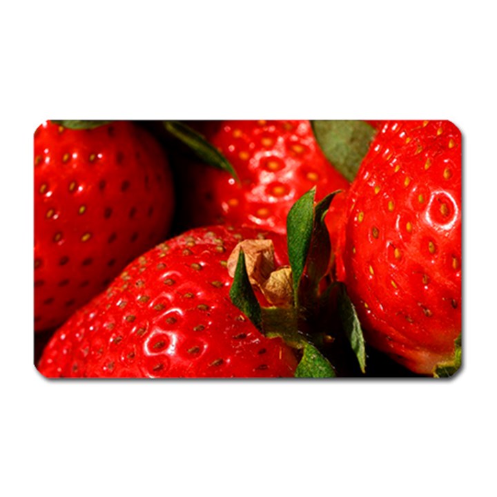 Red Strawberries Magnet (Rectangular)