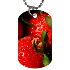 Red Strawberries Dog Tag (one Side) by snowwhitegirl