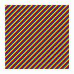 Gay Pride Flag Candy Cane Diagonal Stripe Medium Glasses Cloth (2-Side) Front