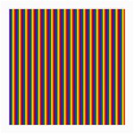 Vertical Gay Pride Rainbow Flag Pin Stripes Medium Glasses Cloth (2-Side) Front