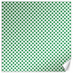 Green Shamrock Clover On White St  Patrick s Day Canvas 16  X 16   by PodArtist