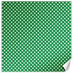  White Shamrocks On Green St  Patrick s Day Ireland Canvas 16  X 16   by PodArtist