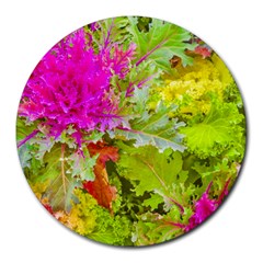 Colored Plants Photo Round Mousepads by dflcprints