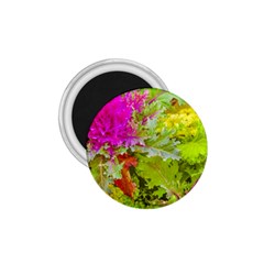 Colored Plants Photo 1 75  Magnets by dflcprints