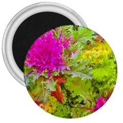 Colored Plants Photo 3  Magnets by dflcprints