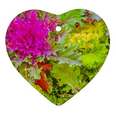 Colored Plants Photo Ornament (heart) by dflcprints