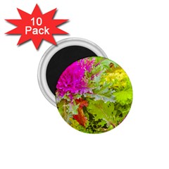 Colored Plants Photo 1 75  Magnets (10 Pack)  by dflcprints