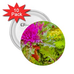 Colored Plants Photo 2 25  Buttons (10 Pack)  by dflcprints