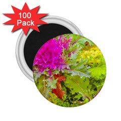 Colored Plants Photo 2 25  Magnets (100 Pack)  by dflcprints