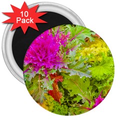 Colored Plants Photo 3  Magnets (10 Pack)  by dflcprints