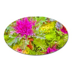 Colored Plants Photo Oval Magnet by dflcprints