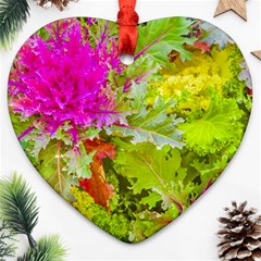 Colored Plants Photo Heart Ornament (two Sides) by dflcprints