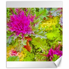 Colored Plants Photo Canvas 8  X 10  by dflcprints