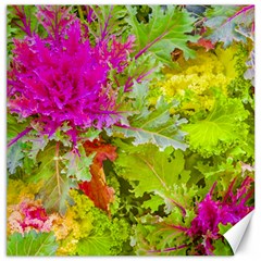 Colored Plants Photo Canvas 12  X 12   by dflcprints