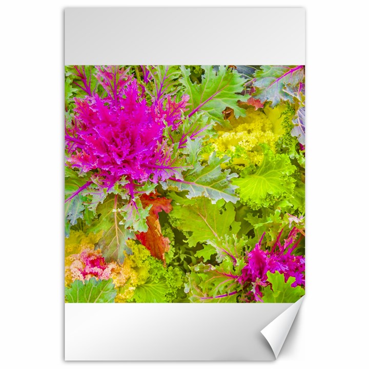 Colored Plants Photo Canvas 12  x 18  