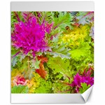 Colored Plants Photo Canvas 16  x 20   15.75 x19.29  Canvas - 1