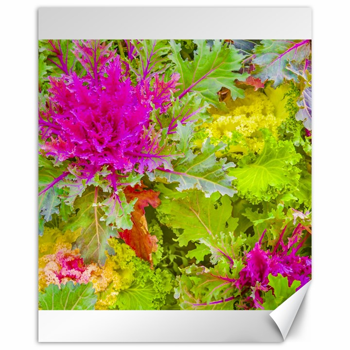 Colored Plants Photo Canvas 16  x 20  