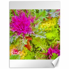 Colored Plants Photo Canvas 36  X 48   by dflcprints