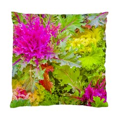 Colored Plants Photo Standard Cushion Case (two Sides) by dflcprints