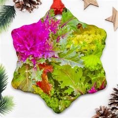 Colored Plants Photo Ornament (snowflake) by dflcprints