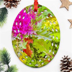 Colored Plants Photo Oval Filigree Ornament (two Sides) by dflcprints