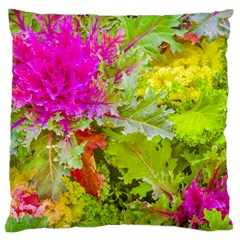 Colored Plants Photo Large Cushion Case (one Side) by dflcprints