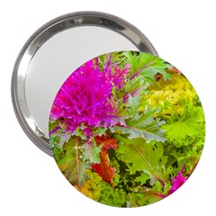 Colored Plants Photo 3  Handbag Mirrors by dflcprints