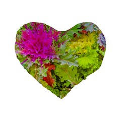 Colored Plants Photo Standard 16  Premium Heart Shape Cushions by dflcprints