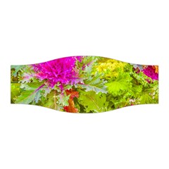 Colored Plants Photo Stretchable Headband by dflcprints