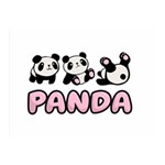 Panda  Double Sided Flano Blanket (Mini)  35 x27  Blanket Front