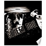 Street dogs Canvas 8  x 10  8.15 x9.66  Canvas - 1