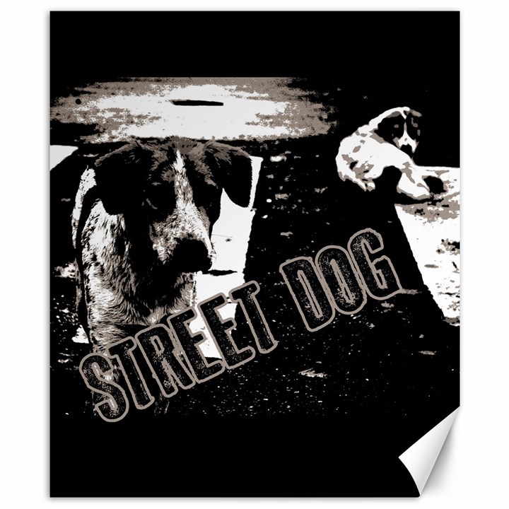 Street dogs Canvas 8  x 10 