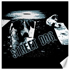 Street Dogs Canvas 16  X 16  