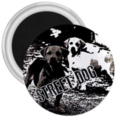 Street dogs 3  Magnets