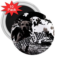 Street dogs 3  Magnets (10 pack) 